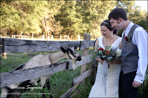 Abby and Ben and Goat